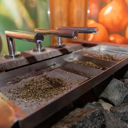 Hotel Toplice - Terme Krka 3*