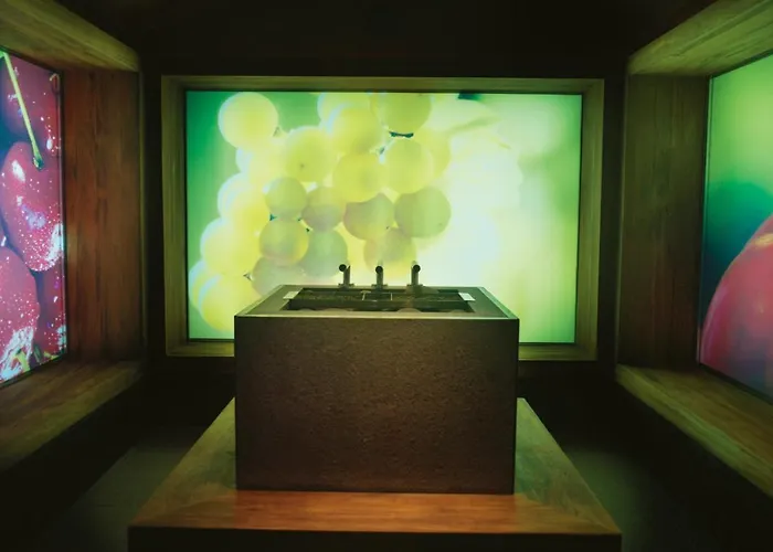 Toplice - Terme Krka Hotel Šmarješke Toplice