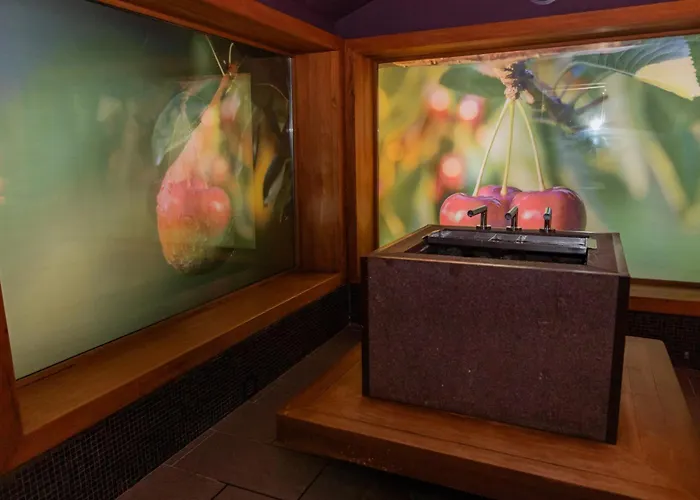 Toplice - Terme Krka Hotel