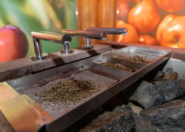 Hotel Toplice - Terme Krka 3*