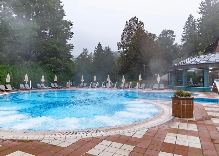 Toplice - Terme Krka 3*